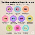 How Tarot Helps In Manifesting Love Goals