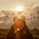 Angel Number 1212 Sees Spike In Tiktok Videos — Tambakbet Insight