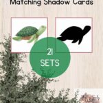 The Emperor Card Houses In Indonesia — Tambakbet Interpretation