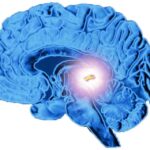 Teknik Manifestasi 369 untuk Menarik Energi Positif