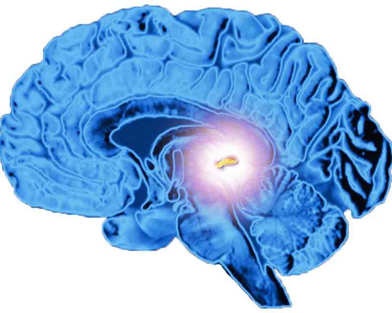 Cara Aktivasi Pineal Gland