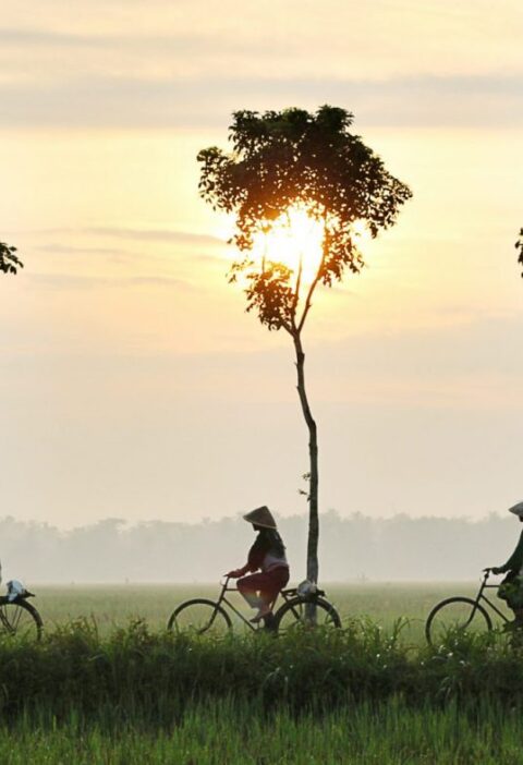 Tips Hidup Selaras Alam